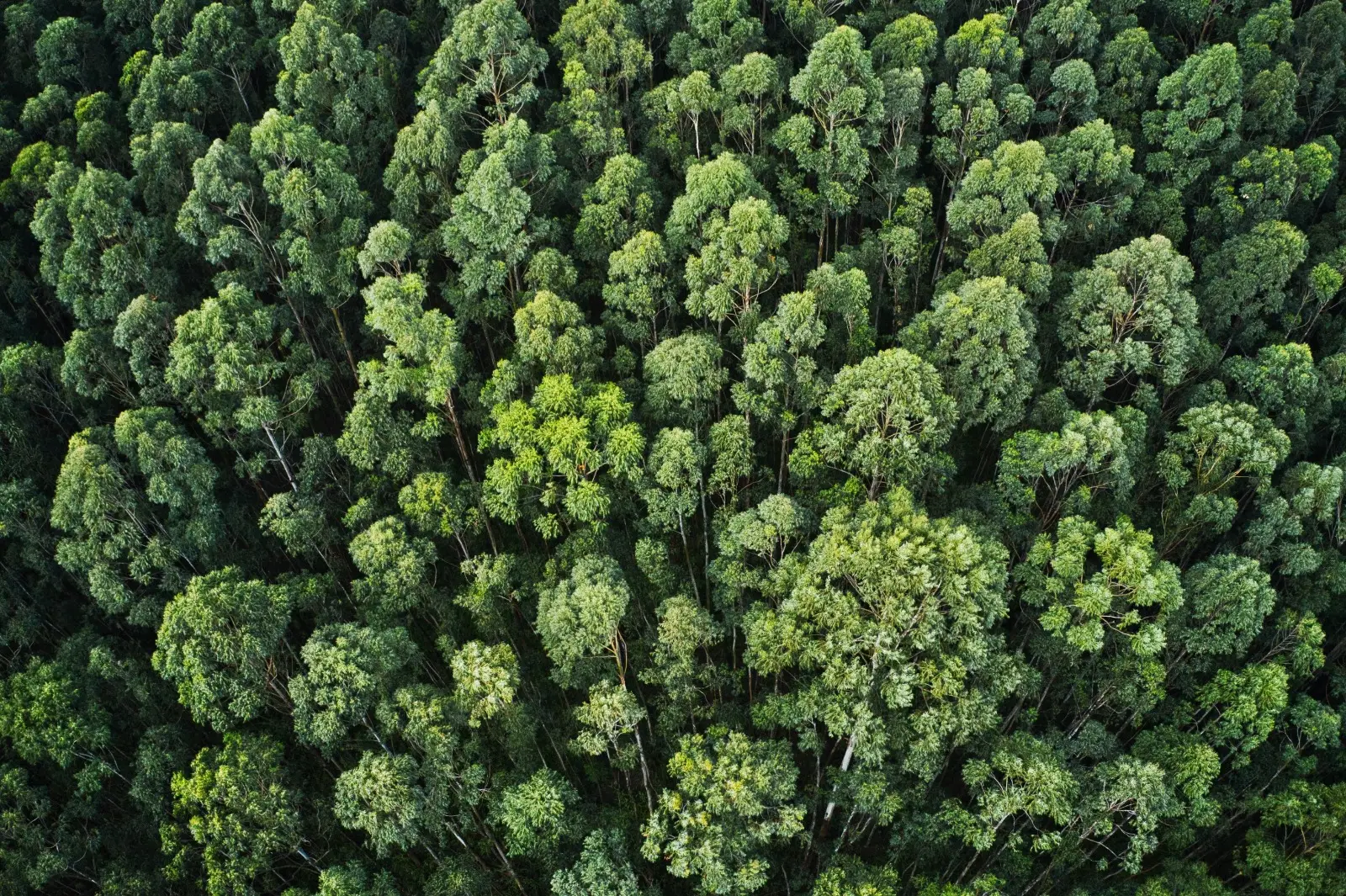 Sustainability Reporting